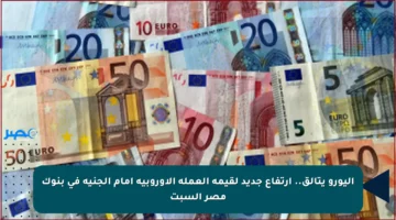 اليورو يتألق.. ارتفاع جديد لقيمة العملة الأوروبية أمام الجنيه في بنوك مصر السبت